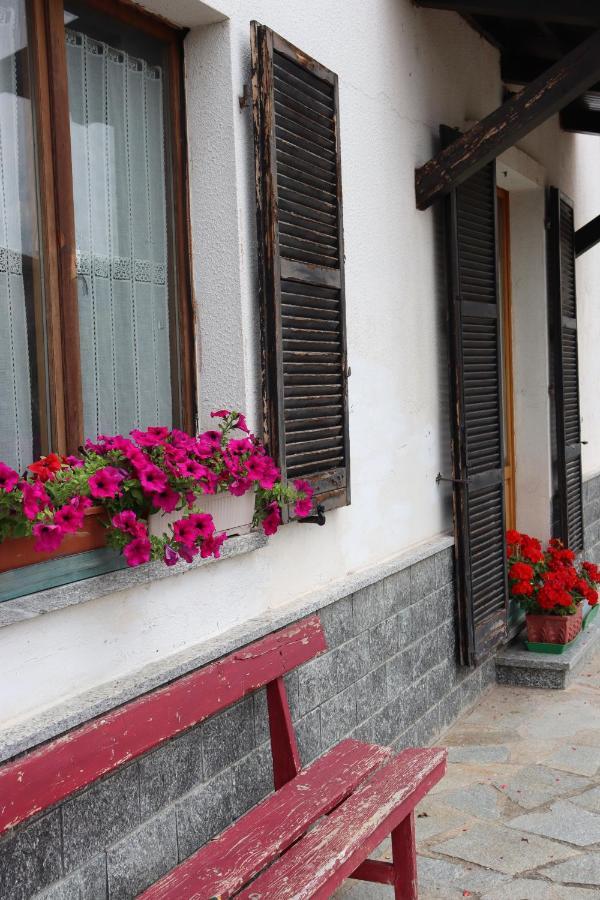 Gabry Guest House Bruno Exterior foto